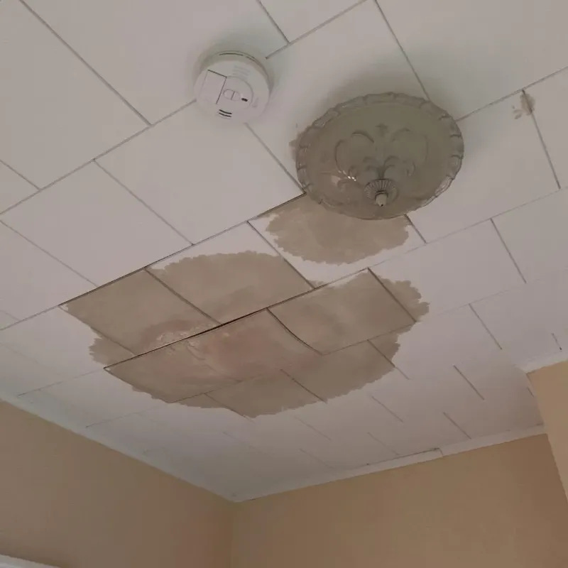 Ceiling Water Damage Repair in Algood, TN