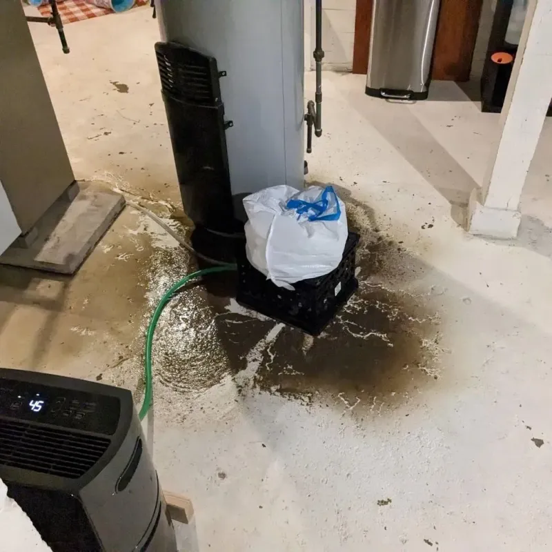 Sewage Backup Cleanup Service in Algood, TN